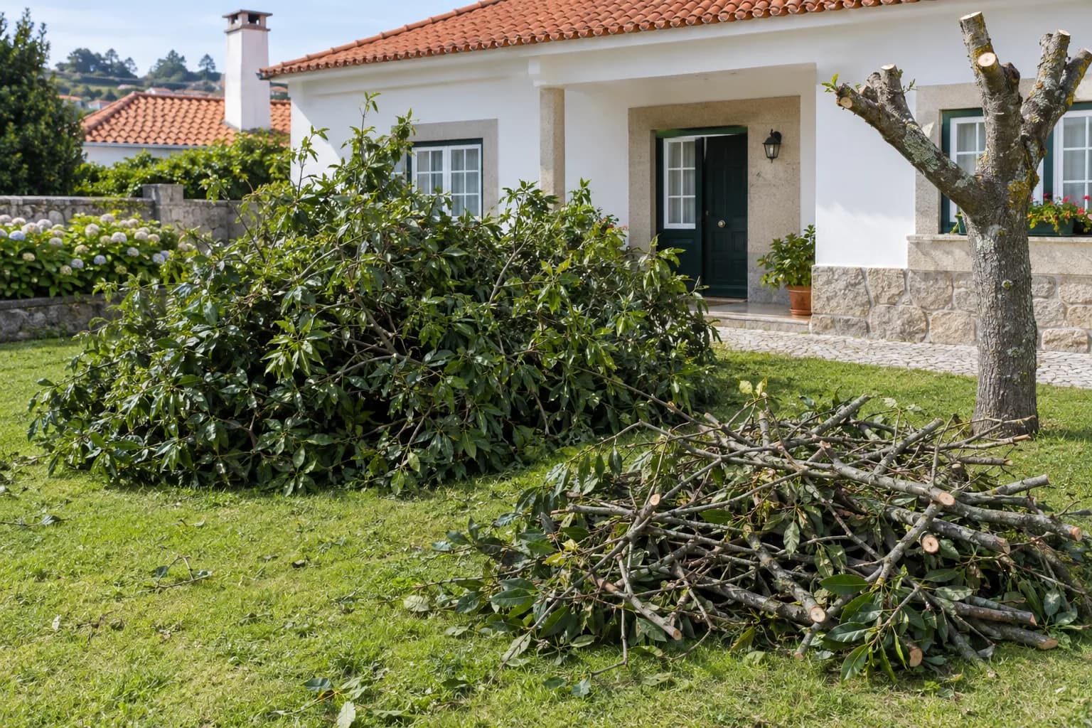 Copa de árvore podada e ramos cortados num jardim, em frente a uma moradia