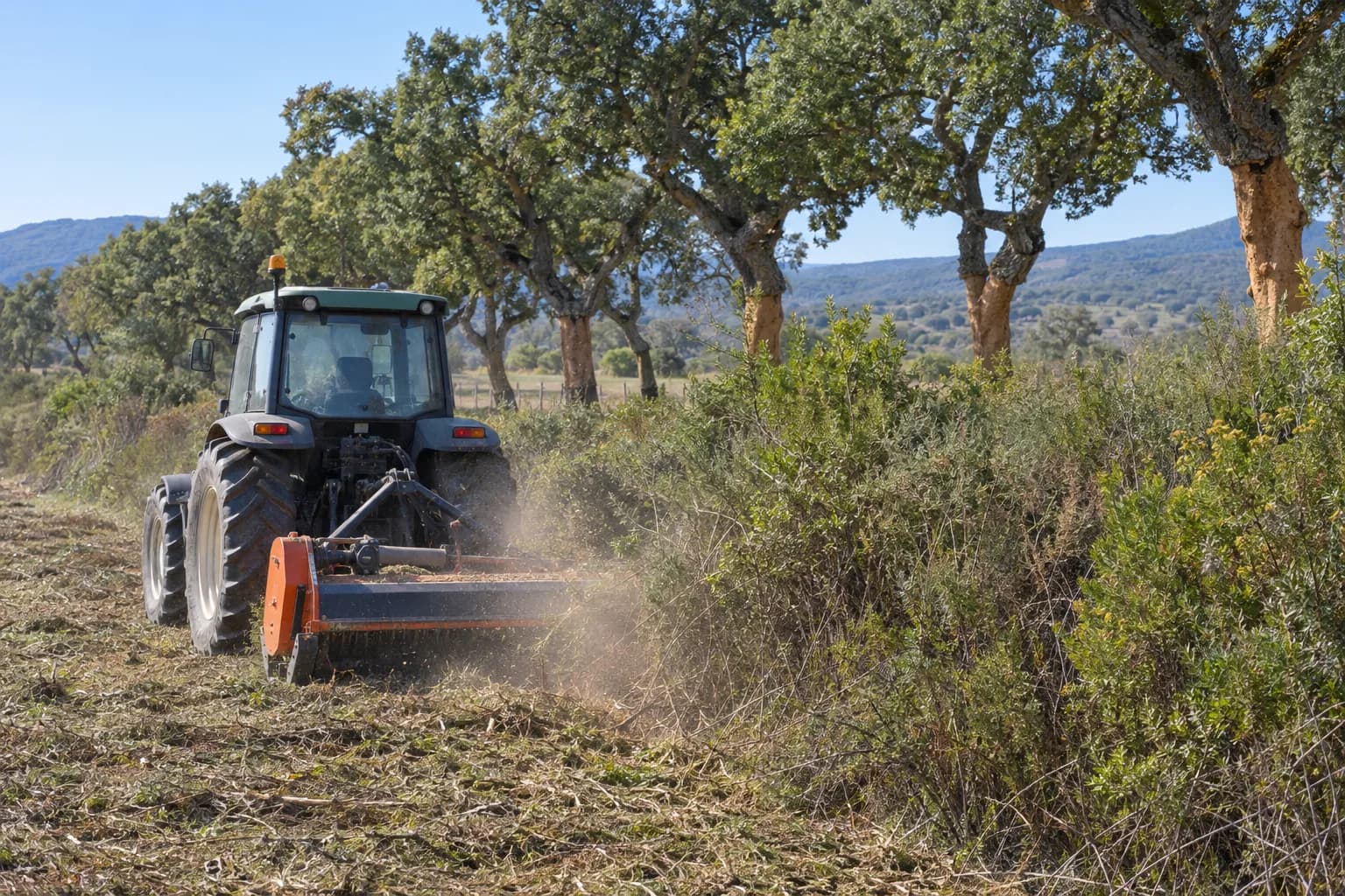 Trator com equipamento de trituração a cortar mato alto junto à orla de um terreno, com sobreiros ao fundo